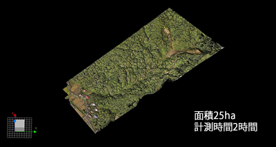 オリジナルデータ